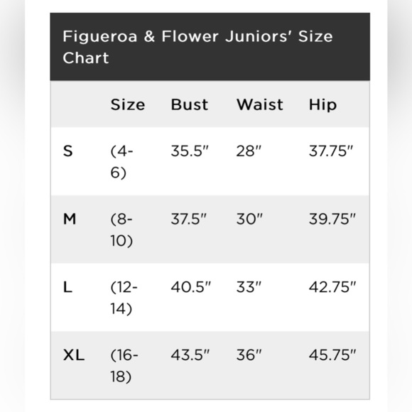 Fig And Flower Boho Embroidered Ruffled Gauzy Red Floral Dress Size L EUC - Picture 3 of 5